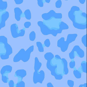 Meet your Posher, Lexi